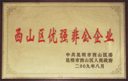 2009年西山區(qū)優(yōu)強非公企業(yè)