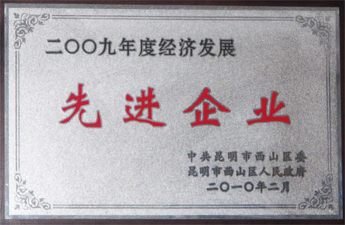 2009年度經(jīng)濟發(fā)展先進(jìn)企業(yè)